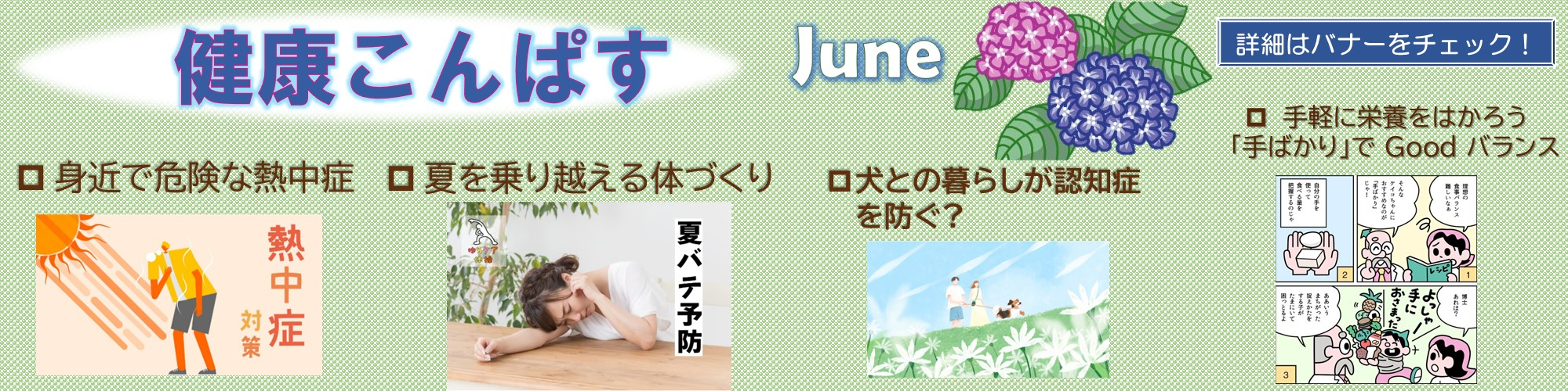 健康こんぱす